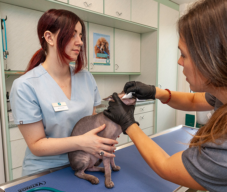 Dermatologie vetpully