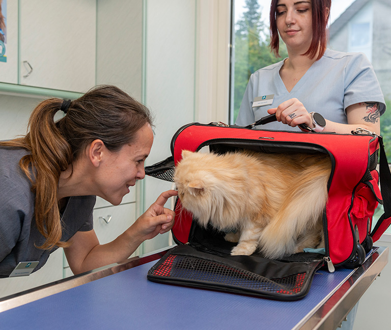 Une approche bienveillante et personnalis&eacute;e