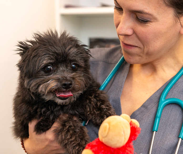 Suivi et th&eacute;rapie