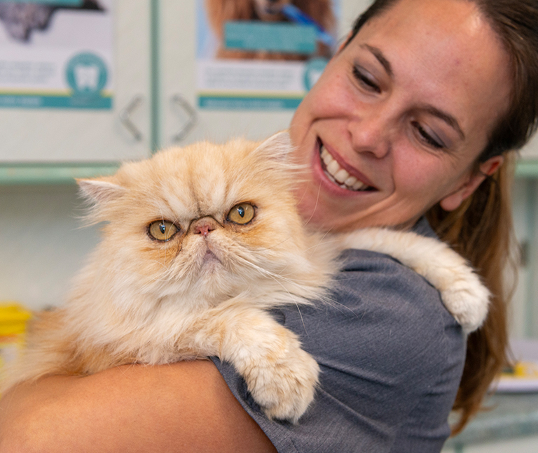 Troubles de la vision